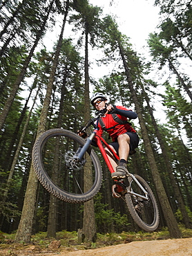 Mountain biker in mid-air on forest trail