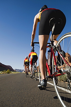 Bikers on the road