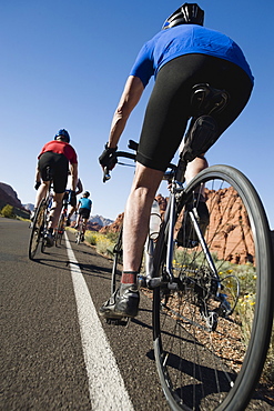 Bikers on the road