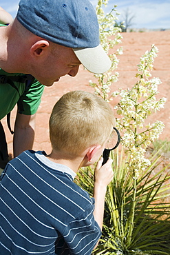 A father and son at Red Rock examining plants