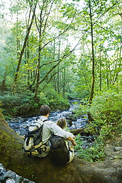 Hikers resting