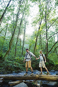 Hikers walking on log