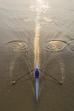 High angle view of person sculling