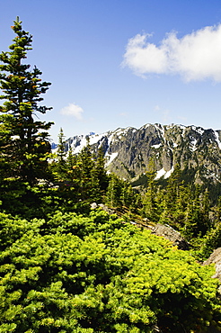 Mountain view, USA, Washington, Olympic Penninsula