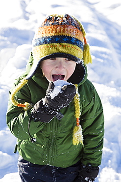 Boy (4-5) checking taste of snow