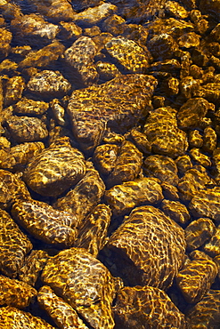 Close-up of rocks in stream bed, Colorado, USA