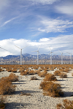 Landscape with wind turbines, Palm Springs, California