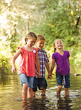 Three kids (4-5, 6-7) holding hands and walking together in small stream, Lehi, Utah