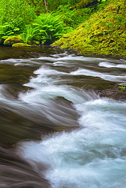 Long exposure of Tanner Creek, Tanner Creek, Oregon, USA