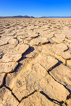 View of cracked ground, Alvord Playa, Oregon, USA