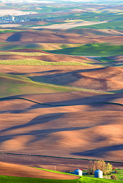 Farm on wheat field, Palouse, Washington