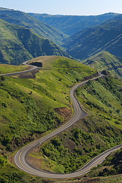 Mountain road, Asotin County, Washinton