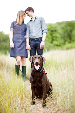 Portrait of young couple with dog, USA, Utah, Salt Lake City