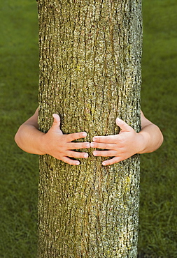 Person hugging tree