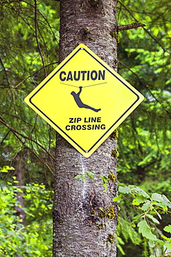 Caution, zip line crossing sign on tree, Portland, Oregon