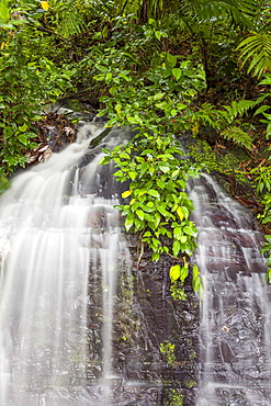 Scenic waterfall, El Yunque, Puerto Rico