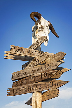 Animal skull on top of directional sign, USA, South Dakota, Okaton