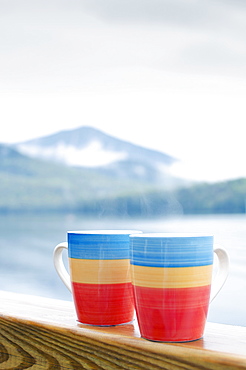 Coffee mugs on railing, New York State