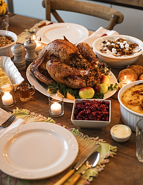 Dining table filled with thanksgiving food