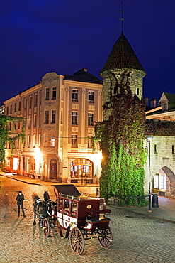 Horse cart on street at night, Estonia