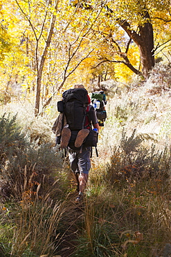 Two people hiking in forest, Grand Gulch, Utah, USA