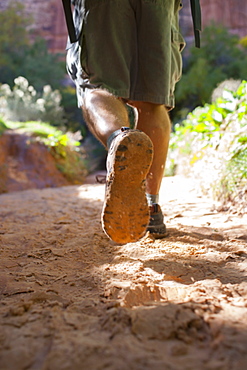 Man hiking in forest, Grand Gulch, Utah, USA