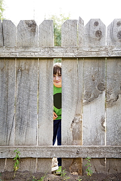 Boy (6-7) looking through hole in fence