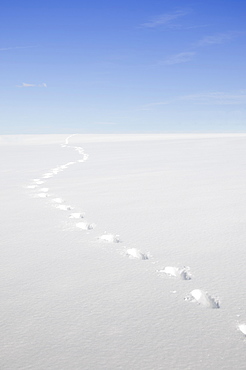 Footprints in snow, New Jersey, USA