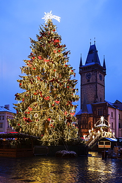 Christmas tree at night, Czech Republic, Prague, Old Town Square