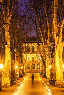 Illuminated treelined alley, Croatia, Zagreb, Croatian Academy of Sciences and Arts