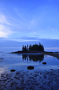 Low tide at Owls Head at dawn, USA, Maine, Penobscot Bay