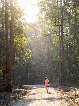 Australia, New South Wales, Port Macquarie, Rear view of mature woman walking along dirt road in forest