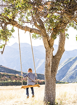 Boy (4-5) sitting on swing