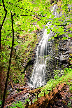 Ukraine, Zakarpattia, Rakhiv district, Carpathians, Majestic cascade waterfall in forest