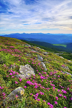Ukraine, Ivano-Frankivsk region, Verkhovyna district, Carpathians, Chernohora, Mountain landscape on sunny day