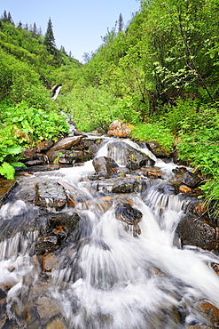 Ukraine, Ivano-Frankivsk region, Verkhovyna district, Carpathians, Dzembronskie waterfalls