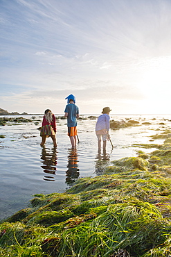 Children exploring tide pools in La Jolla, California