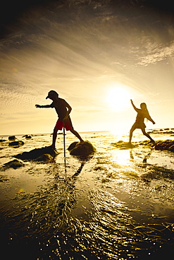 Children exploring tide pools in La Jolla, California