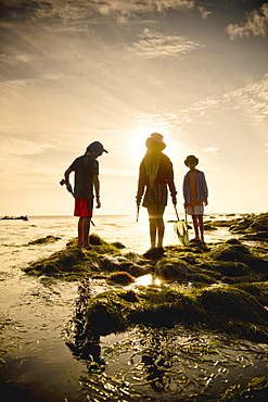 Children exploring tide pools in La Jolla, California