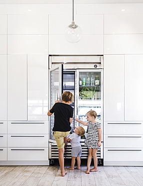 Children opening refrigerator