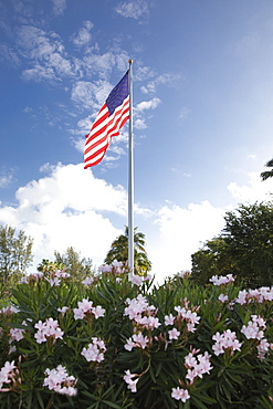 American flag in bush with flowers