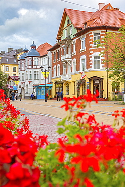 Flowers by old buildings in Zelenogradsk, Russia