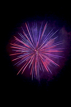 Fireworks against the night sky