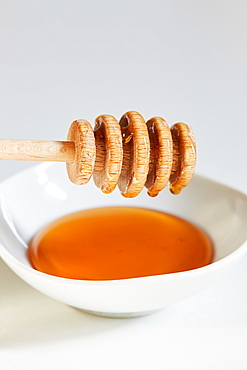 Honey dipper on bowl of honey