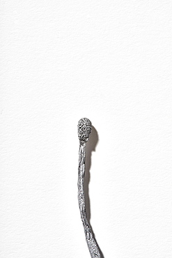 Burnt matchstick on white background