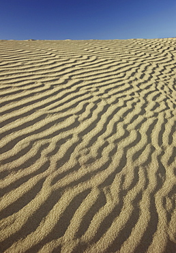 Desert sand at Death Valley, California