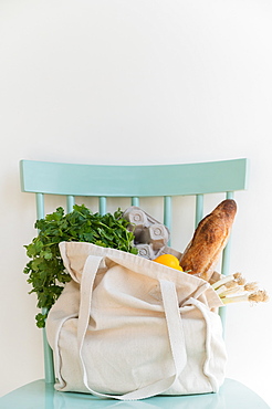 Groceries in reusable shopping bag