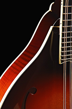 Close-up of mandolin