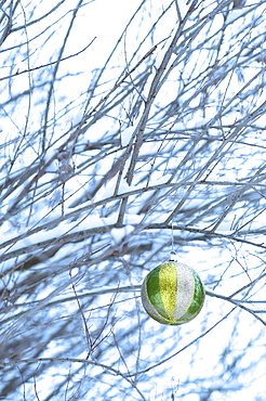 One Christmas ornament hanging in tree