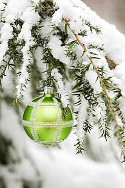 One Christmas ornament hanging in tree